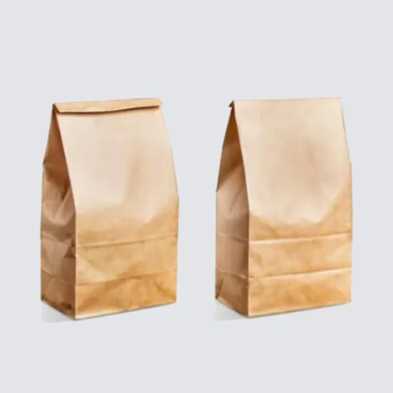 Kraft Grocery Bag